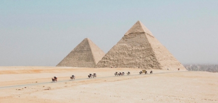 Россия возобновляет авиасообщение с Египтом, ОАЭ и Мальдивами