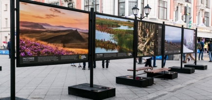 Falconeri и National Geographic открыли уличную выставку о природе России