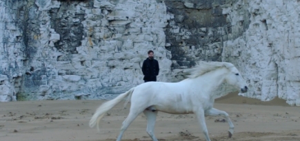 Скалы, море и лошади: группа Foals выпустила видео на песню «Neptune»