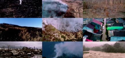 Greenpeace выпустил документальный сериал о климатическом кризисе