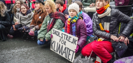 Грета Тунберг призвала проводить климатические забастовки онлайн из-за угрозы коронавируса