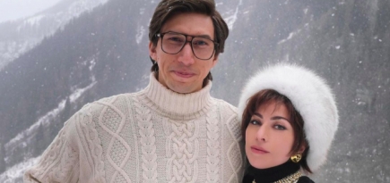 Снимок с Адамом Драйвером и Леди Гагой в образах из фильма «Дом Гуччи» стал мемом