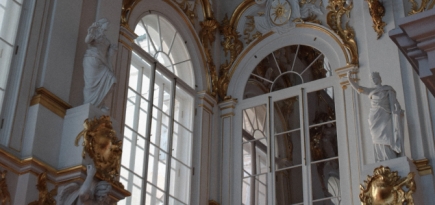 Эрмитажный кот Сигизмунд проведет экскурсии по музею в TikTok