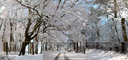 На Новой Голландии покажут видеоработу Дэвида Хокни