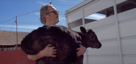 Хоакин Феникс спас корову и ее теленка со скотобойни