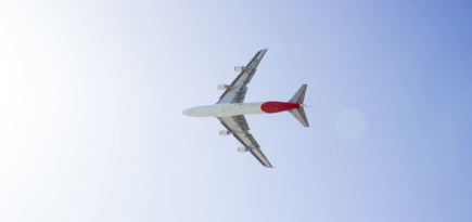 Россия ограничит авиаперелеты в Южную Корею из-за коронавируса