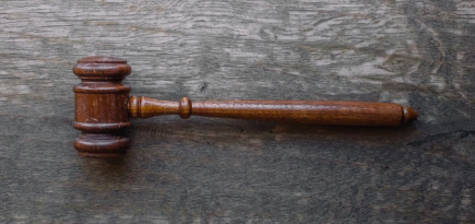 В законопроект о домашнем насилии добавили понятие «преследование»