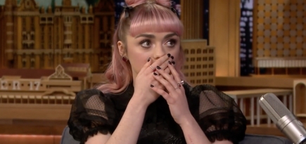 Мэйси Уильямс рассказала о судьбе Арьи Старк в последнем сезоне «Игры престолов»