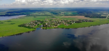 Власти Московской области на месяц запретили массовые мероприятия
