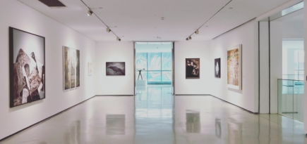 По прогнозам ЮНЕСКО, 13% музеев мира могут не открыться после карантина