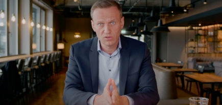 Союзу кинематографистов РФ не понравилось решение о вручении Алексею Навальному премии «Белый слон»