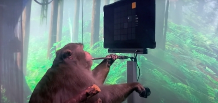 Стартап Илона Маска показал видео с обезьяной, которая играет силой мысли в видеоигры