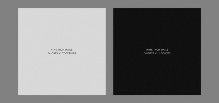 Группа Nine Inch Nails выпустила два инструментальных альбома