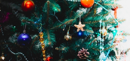 Владимир Путин рекомендовал сделать 31 декабря выходным днем по всей России