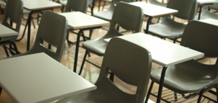 Минпросвещения планирует ввести всероссийские родительские собрания, чтобы избежать участия детей в митингах