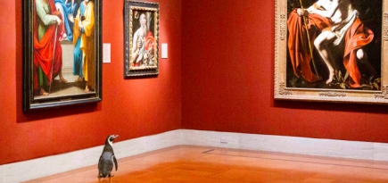 Пингвины из зоопарка Канзас-Сити побывали на экскурсии в музее искусств