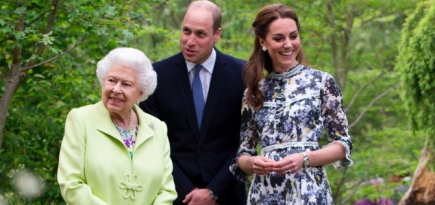 Елизавета II и принц Уильям призвали всех объединиться в борьбе с коронавирусом