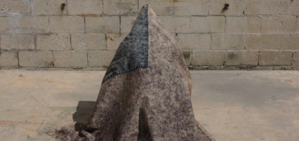 Стерлинг Руби снял фильм о Дональде Трампе и важности голосования на выборах