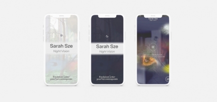 Fondation Cartier представил виртуальную работу американской художницы Сары Зе