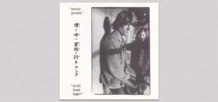 Группа Sonic Youth выложила онлайн концертный альбом «Hold That Tiger»