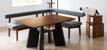 В Японии можно купить стол с отверстием для кошки в центре