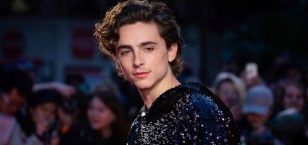 Тимоти Шаламе рассказал о подготовке к роли Боба Дилана