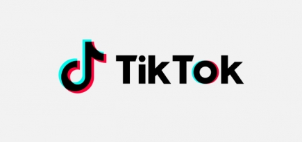 TikTok оштрафовали на 2,6 миллиона рублей за отказ от удаления информации об акциях протеста