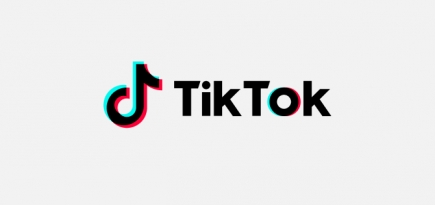 TikTok назвал самых популярных знаменитостей и челленджи 2020 года