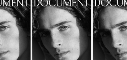 Эди Слиман сфотографировал Тимоти Шаламе для обложки Document Journal