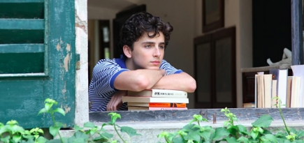 Тимоти Шаламе сыграет в хорроре Луки Гуаданьино о подростках-каннибалах