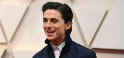 Съемки фильма о Бобе Дилане с Тимоти Шаламе в главной роли отложены из-за COVID-19