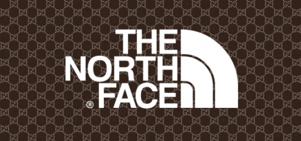 Gucci анонсировал коллаборацию с The North Face