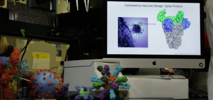 В США начались клинические испытания вакцины от коронавируса