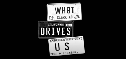 Дейв Грол из Foo Fighters снял документальный фильм с участием St. Vincent и Ринго Старра