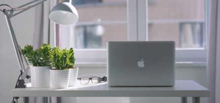 Российские работодатели смогут сделать 31 декабря выходным днем