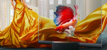 Xiaomi запускает массовое производство прозрачных телевизоров