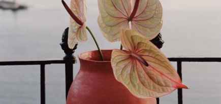 Saint Laurent выпустил коллекцию керамики, вдохновленную садом Мажорель в Марракеше