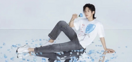 Lanvin, Pandora и другие бренды отказались от сотрудничества с певцом и актером Чжан Чжэханом