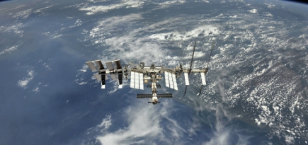 «Роскосмос» планирует напрямую отправить туристов на МКС