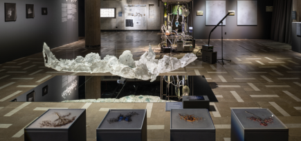 Кураторский гид по выставке New Elements в Новой Третьяковке