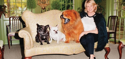 Отчаянная домохозяйка: Марта Стюарт в объективе Терри Ричардсона