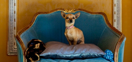 Без официоза: отель Ritz by Belmond в Мадриде