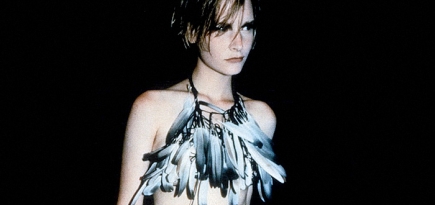 Девять важных дат в карьере Анн Демельмейстер