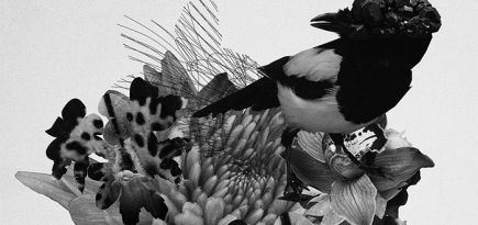 Лучшие московские выставки сентября