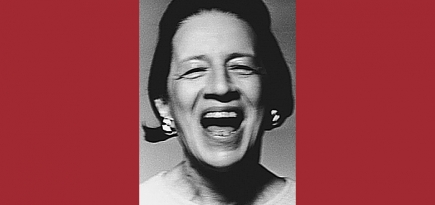 Увидела свет очередная книга о Диане Вриланд