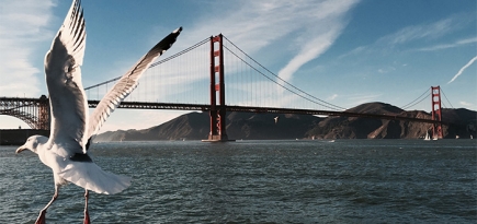 Apple выпустил мини-клипы про iPhone 6