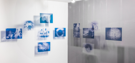 В Ереване открылась совместная выставка художников из России, Армении и Украины