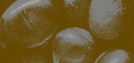 Как орехи влияют на организм и есть ли норма их потребления? Отвечает эксперт