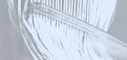 Какой уход нужен разным типам волос? Отвечает эксперт