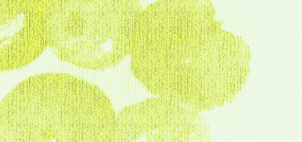 Что влияет на скорость пищеварения, и есть ли продукты, которые не стоит сочетать? Отвечает эксперт